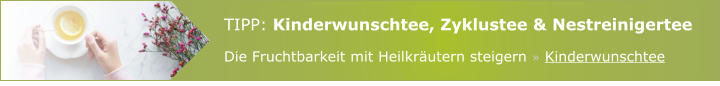 TIPP: Kinderwunschtee, Zyklustee & Nestreinigertee Die Fruchtbarkeit mit Heilkräutern steigern » Kinderwunschtee